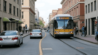 Sustainable Transportation: How Electric Vehicles and Public Transit Cut Emissions